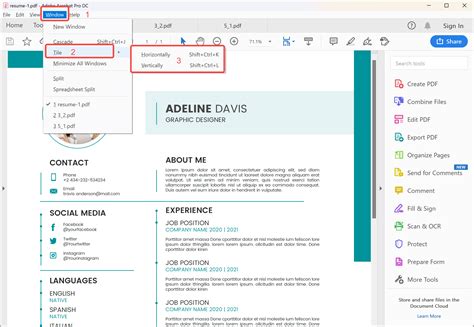 Image result for How to Split PDF