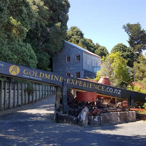 GOLDMINE EXPERIENCE (2026) All You Need to Know BEFORE You Go (with ...