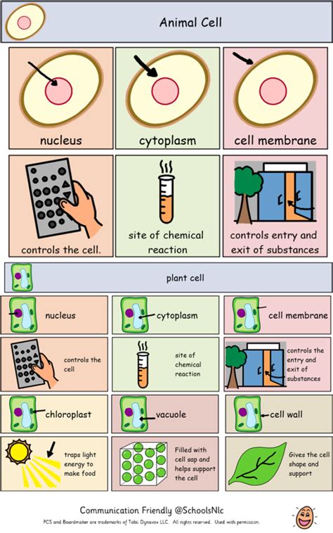 Biology Learning 的图像结果