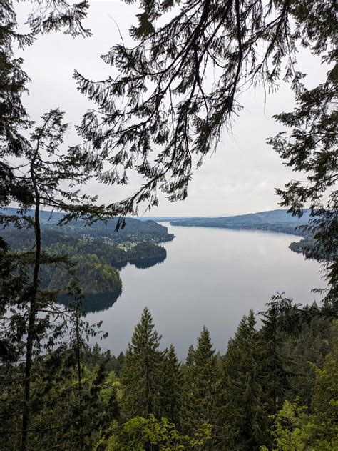 Lake Whatcom Park - Hertz Trail, Lake Whatcom Park - Chanterelle Trail ...