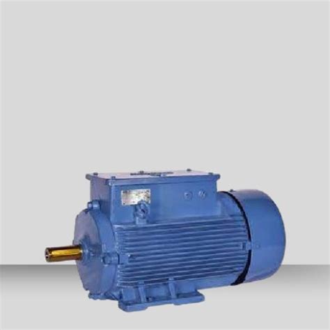 BBL Crane Slip Ring Motors Dealer & Supplier, Mumbai, India | Makharia ...