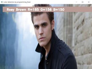 Color Detection Using Python PPT 的图像结果