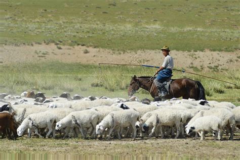 Mongolia Facts | Britannica