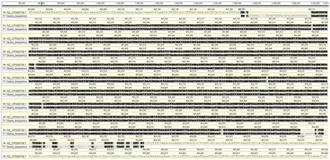 In Vitro Evaluation of Weizmannia coagulans Strain LMG S-31876 Isolated ...