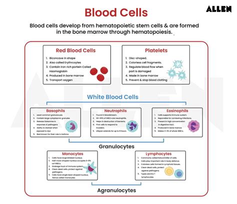 Life Processes - Class 10 Chapter 5 CBSE Notes