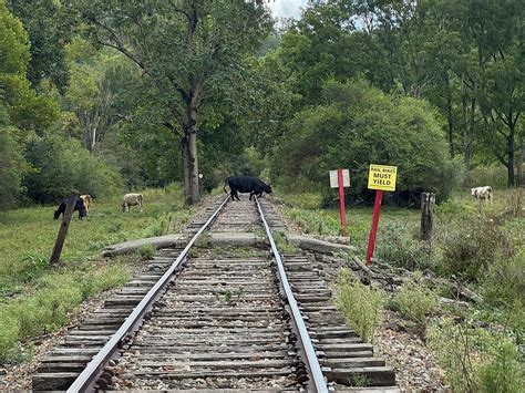 ANDREWS VALLEY RAIL TOURS (2025) All You Need to Know BEFORE You Go ...