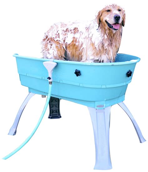 14 Best Dog Washing Station (2025) – Essential Tips for a Clean and ...