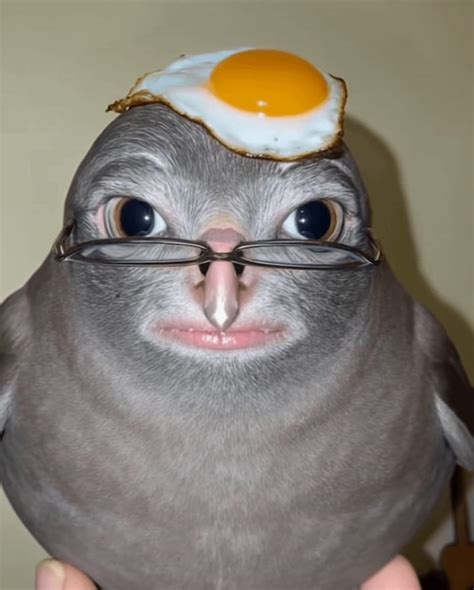 Male Scream Sound Effect Meme 的图像结果