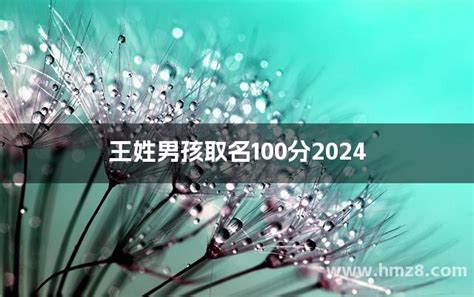 王姓男孩取名100分2024，有寓意的名字_好名字起名网