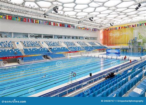 Olympic Size Swimming Pool Stock Images Download 125