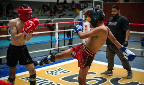 Boxing Guard 的图像结果