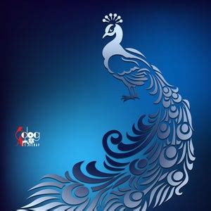 Buy Peacock Clip Art Vector Digital Files SVG DXF Cuttable Printable ...