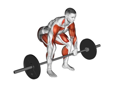 Barbell Power Cleans: Benefits, Muscles Worked, and More - Inspire US