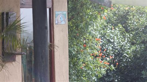 MOUNTAIN FLY FISHING (Segwasi) - Lodge Reviews & Photos - Tripadvisor