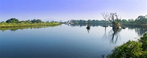 Untouched Beauty near Mudumalai National Park