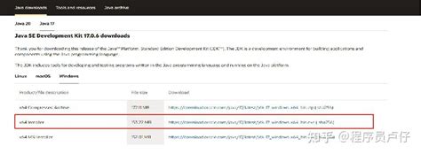Java JDK Oracle 的图像结果