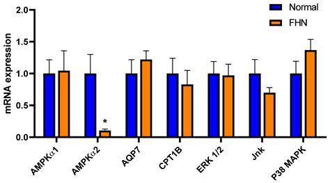 Bone Metabolite Profile Differs between Normal and Femur Head Necrosis ...
