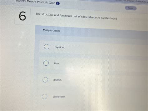Image result for Skeletal Muscle Functional Unit