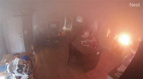 Missouri dog sets home on fire after turning on stove, video reveals ...