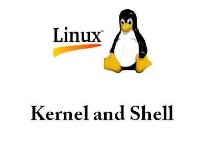 Image result for Linux Kernel Shell