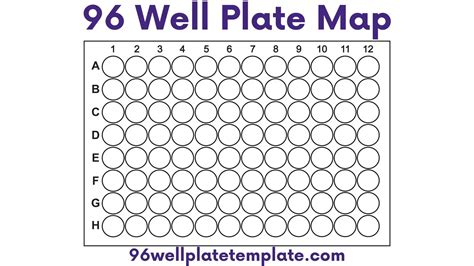 96 Well Plate Map | Download Free 96 Well Plate Template