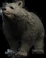 Template:Character info - bg3.wiki