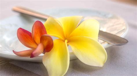 KIGONGONI LODGE ARUSHA - Hotel Reviews & Photos - Tripadvisor