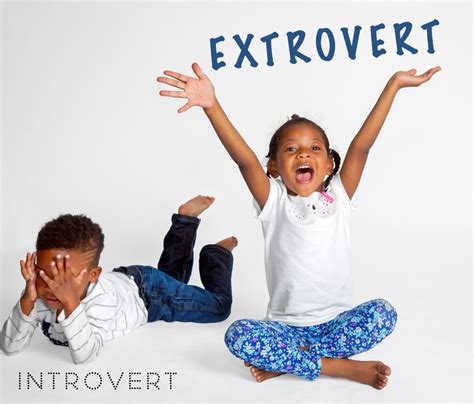 Image result for Introvert-Extrovert Spectrum