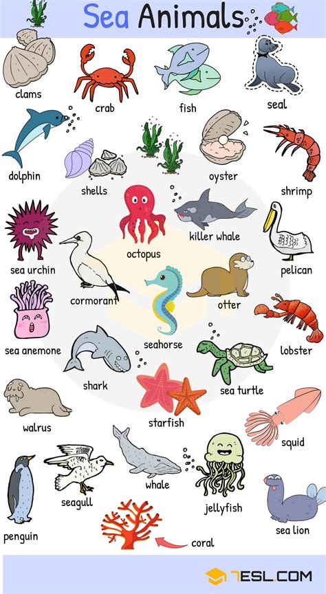 Sea Animal Names in English: Pictures, Audio & Vocabulary Practice • 7ESL