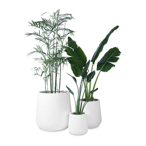Palasa Studio - Planters & Pot Store Online in India - Home | Living