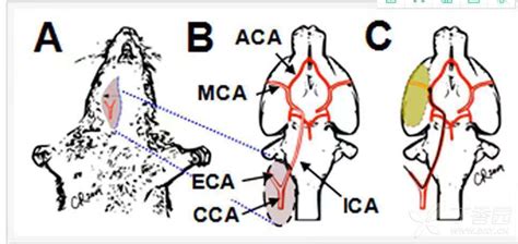 Image result for Alien Science Diagram