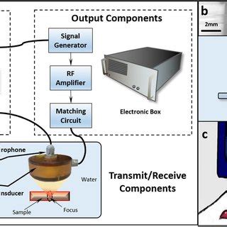 Auditory Feedback System Computer 的图像结果