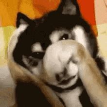 Image result for Working with Different Web Browsers Using Selenium Web Driver in Python Code