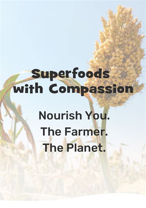 Our Roots – Nourish You