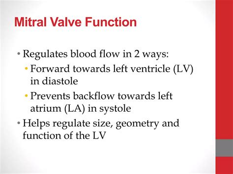 Mitral valve anatomy.pptx