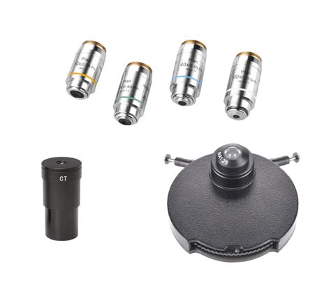 Image result for How to Use a Phase Contrast Microscope