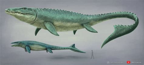 Image result for Mosasaurus