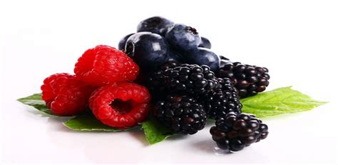 Estrogen-Rich Foods: 8 Foods High in Estrogen | Max Lab
