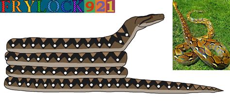 Reticulated Python Poop 的图像结果