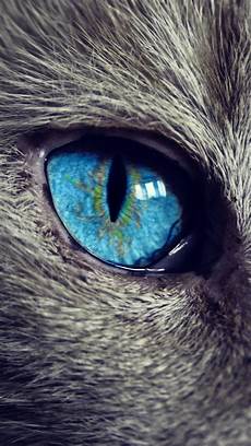 Iphone Black Eye Wallpaper by Cat Eye Best New Samsung Galaxy A3 Wallpaper Iphone Black Eye Wallpaper