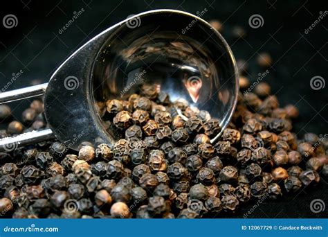 Black Peppercorn stock image. Image of pepper, recipe - 12067729