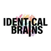 Identical Brains Studios IPO - Check Issue Date, Price, Lot Size & Details