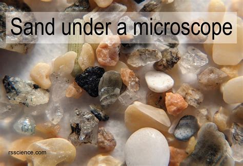Desert Sand Under Microscope