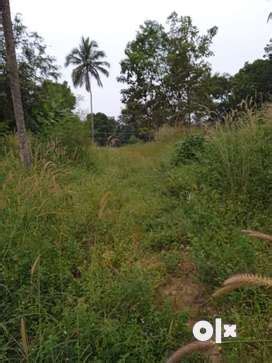 Lands & Plots for sale in Perinthalmanna | OLX