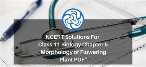 NCERT Solutions for Class 11 Biology chapter 5 Morphology of Flowering ...