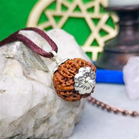 7 Mukhi Nepal Rudraksha - Brings Prosperity - Pandit.com
