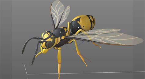 Image result for Wasp 3D Tutorial