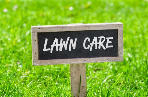 5 Lawn Care Tips to Keep Your Grass Healthy and Green | NuEnergy