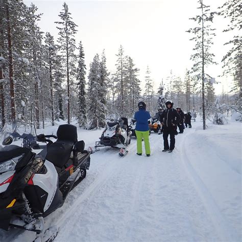 Q5 SAFARIS (2025) All You Need to Know BEFORE You Go (with Photos ...