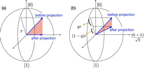Projective Measurement 的图像结果
